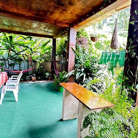 Natural Experience House Tortuguero Eksteriør billede