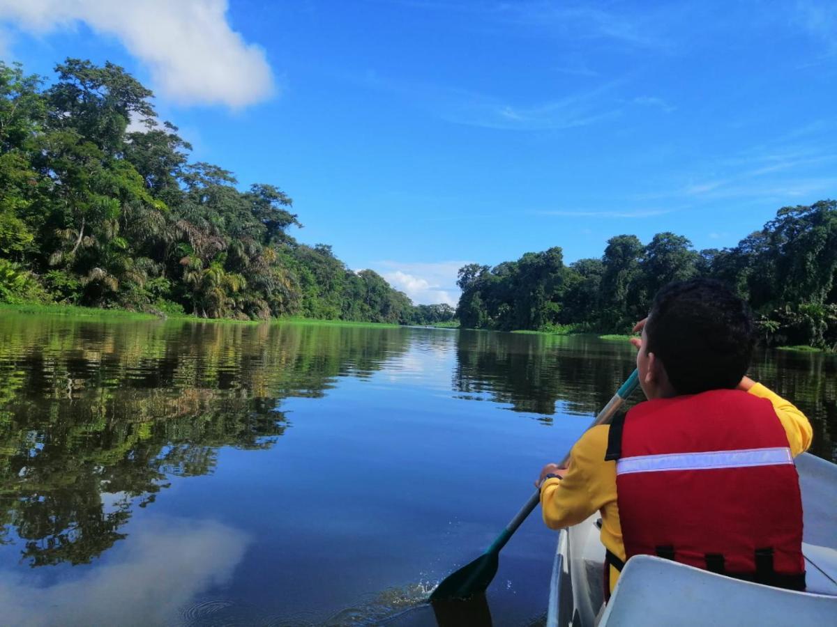 Natural Experience House Tortuguero Eksteriør billede