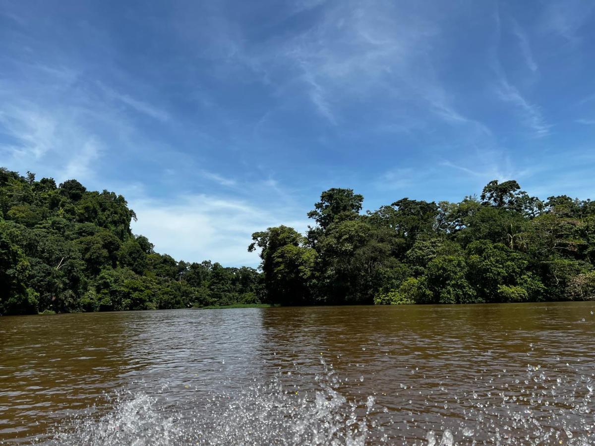 Natural Experience House Tortuguero Eksteriør billede